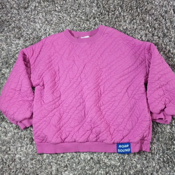 Zara Other - Kids Zara Pink Quilted Sweatshirt Size 4-5 Girl